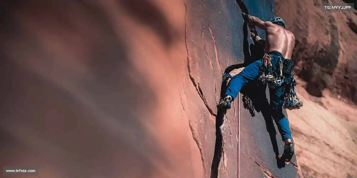 为什么选择我们